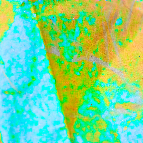 Tenderness Series 