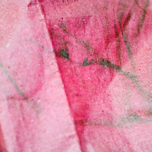 Tenderness Series 